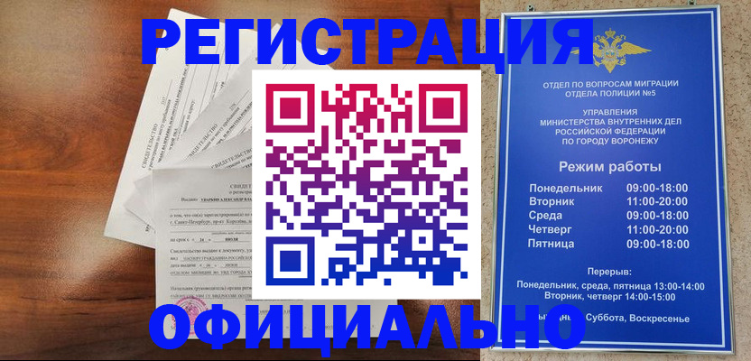 прописка поиск в Нижнекамске